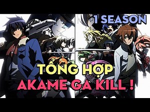 TỔNG HỢP "Sát thủ Akame" | 1 Season | AL Anime