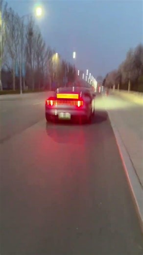 My Wife Always Saves the Day: A Hilarious Daily Life夫妻日常趣事