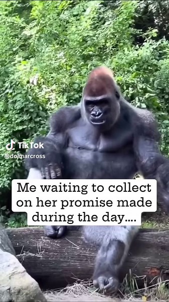 Every Single Time!!! I‘ve Come To Collect!!! 🥰 👉🏽 FOLLOW @DolmarCross & @IAmKeishaCross for endless fun, loving vibes, and your daily dose of laughter! 😊 Check out the transformation we did on this house by watching our reality TV show #ZombieHouseFlipping on A&E. Season 6, Episode 8. Enjoy!!! #ZombieHouses #ZombieHouseBuyers . . . . . . #lovelanguage #couple #couples #married #funny #humor #comedy #couplescomedy #marriagehumor #marriedlife #couplegoals #couplehumor #husband #wife #marriage