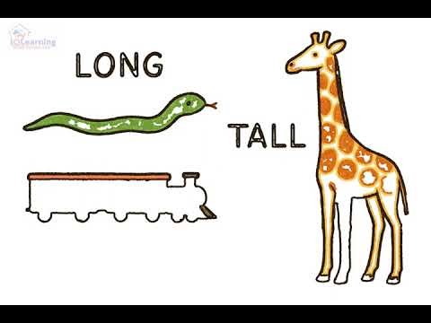 Lesson 6 Year 1 math measuring length