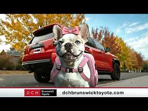 Sit, Stay, Save! Fall Into Paw-some Toyota Deals at DCH Brunswick Toyota!