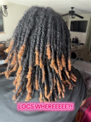 Boho Braids Over Locs: Stunning Styles in CLT Area