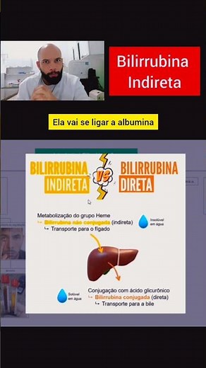 🟡 Indirect Bilirubin: What does it mean in a blood test?