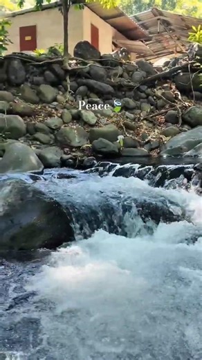 Tara ilog 🍃🍃#ilog #nature #naturevibes #philippines #summer