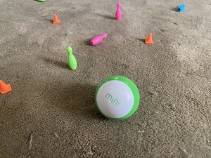 Watch Honest Review Sphero Mini on Amazon Live
