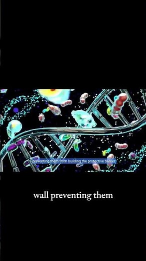 How Amoxicillin Works: The Science Behind Its Effectiveness