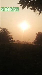 Beautiful nature sun rise