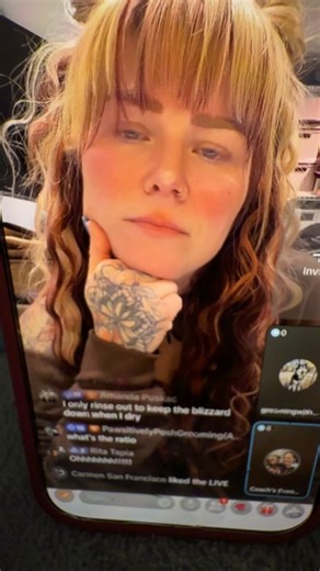 The Funky Poodle on Reels