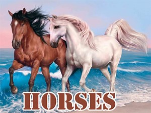 Play Horses Slide | Free Online  Games. KidzSearch.com