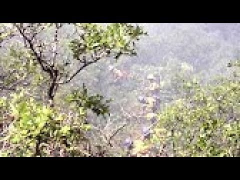 WFSTAR: Pt 1 1994 South Canyon Fire on Storm King Mountain