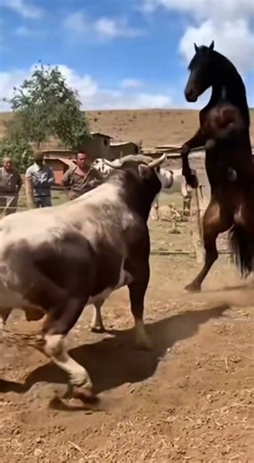 🚷Bull vs Horse 🐂🐎 The Most Intense Animal Fight Ever!” #animals #shorts