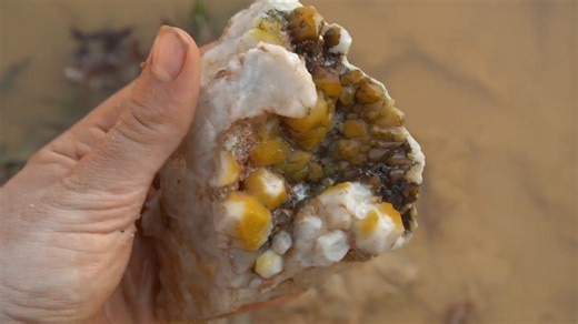 This is how you can find diamonds by yourself