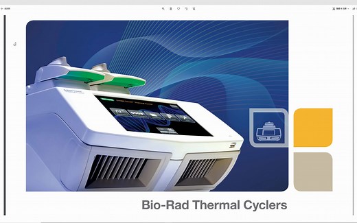 【分子生物学实验】C1000T设置降落PCR
