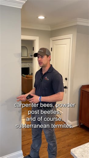 Termite inspection reports every agent and client dream of 🤩 We love delivering good news, but even when the report isn’t perfect, we’ll always be honest so you can address any issues right away. #horizonpoint #homeinspections #cincinnati #dayton #ohiosbestinspectors | Horizon Point Inspections