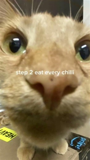 how to explode your toilet tutorial