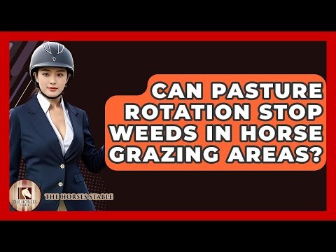 Can Pasture Rotation Stop Weeds In Horse Grazing Areas? - The Horses Stable