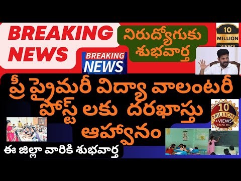 ప్రీ ప్రైమరీ విద్యా వాలంటరీ పోస్ట్ లకు దరఖాస్తు ఆహ్వానం|update jobs news|ఈ జిల్లా వారికి శుభవార్త|t