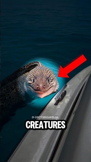 Top 5 Creatures With Shocking Defense Mechanisms #animals #wildlife #facts