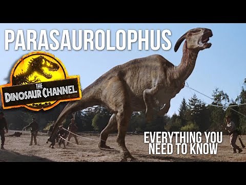 What Was The Parasaurolophus? - The Dinosaur Channel