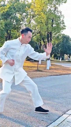 Unleash Inner Power: Wudang Xuanwu's Martial Arts Mastery