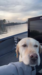 Buster’s way of telling me: “we’ve fished long enough and it’s time for dinner” 🐶😊 | Brandon Card