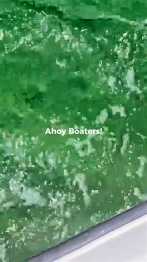 World Boating Day is coming May 24! 🌊 This day is a global celebration of life on the water—and you’re invited! 🚤🌎 Here's how to get involved👇 🚤 Get on the water & share your story 📱 Use #WorldBoatingDay and follow World Boating Day on social media Let's make waves together! Click here to plan your day on the water ▶️ https://bit.ly/2UNh4wi | Discover Boating