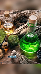 66K views · 563 reactions | Have you ever heard of a woman who became a dog #dog #woman #story #health #lesson #facebookreels #thedailydoc #reels #storytelling #theuntoldstory #foryou #usa #rare #viralreels #emotional #viral | The Untold Story | Facebook