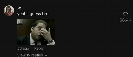 Example of the "I guess bro" comment in TikTok comments