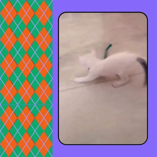 Time Warp Scan - Face Scanner