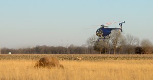 Preserving Kentucky’s deer: UK, Kentucky Fish & Wildlife study chronic wasting disease