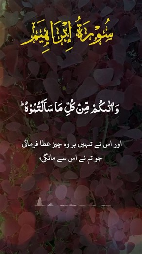 Surah Ibrahim Ayat 34 #Short #Reel #Viral #Fyp