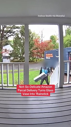 Amazon Delivery Mishap Transforms Vase into Rainstick