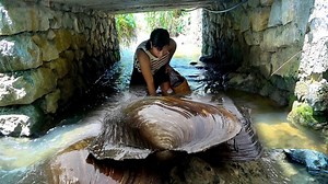 11M views · 191K reactions | The pink pearls are so pretty. I salvage shells in wild lakes | Xiaohuiya | Facebook