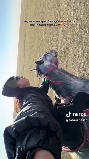 AIDA.IZBASAR on TikTok