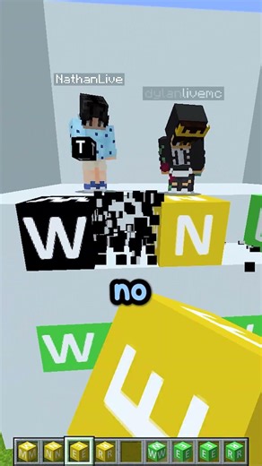 Most Stupid people Play Minecraft Wordle... 😂