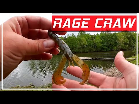 Texas Rig Fishing for the Biggest Bass of the Year! RAGE CRAW BASS