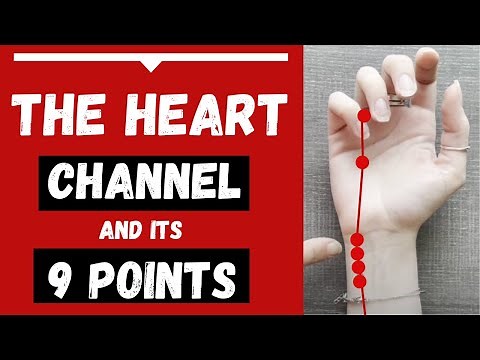 The Heart Channel Meridian & its 9 Heart Acupuncture Points (Functions & Locations)