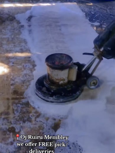 Chase Your Dreams: A Motivational Call to Action