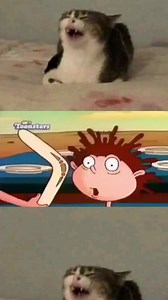 No hay contexto solo yagabodigity de los Thornberrys 😂😂 #humor #meme #thornberry | Tomás Martínez
