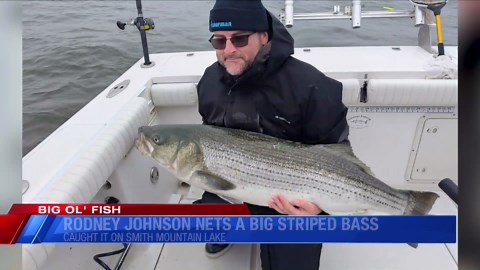 Big Ol'Fish: August 1, 2025