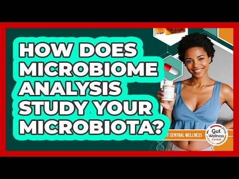 How Does Microbiome Analysis Study Your Microbiota? - Gut Wellness Central