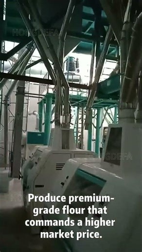 Inside a Modern 60T/24H Wheat Flour Mill – Full Production Line Revealed! | Hongdefa Machinery