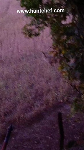 New YT recipes dropping every week!! #cooking #deer #sausage #food #delicious #diy #hunt #fishing #sandwich #cheesy | HuntChef