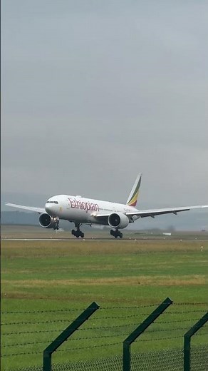 Watch This Plane Land in Bad Weather!