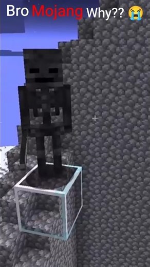 Why Mojang why so racist??#minecraft #minecraftshorts #trick