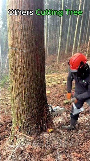 Others Cutting Tree Vs This Guy ☠️