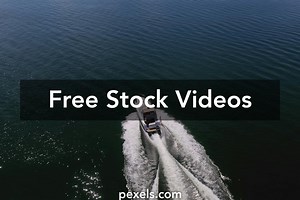 Best Lesbians face riding Videos