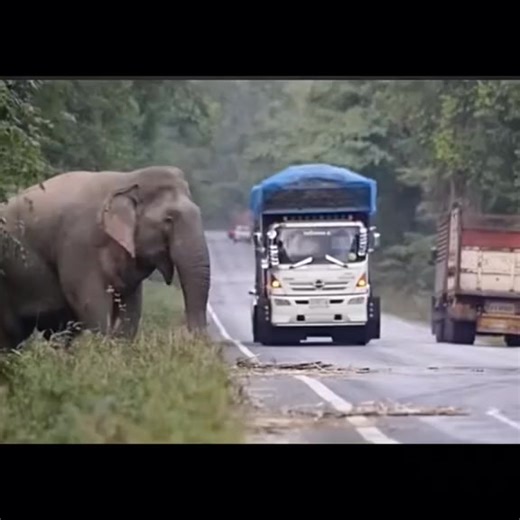 TOLL | Stay in Thailand