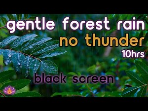 [Black Screen] Gentle Forest Rain No Thunder | Rain Sounds for Sleeping
