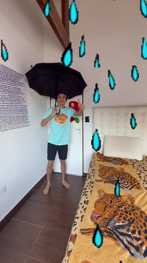 La Tortuga Pintada y la Nube: ¡Una Aventura Divertida!